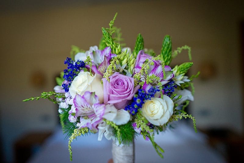 Iraia loradenda Floristería