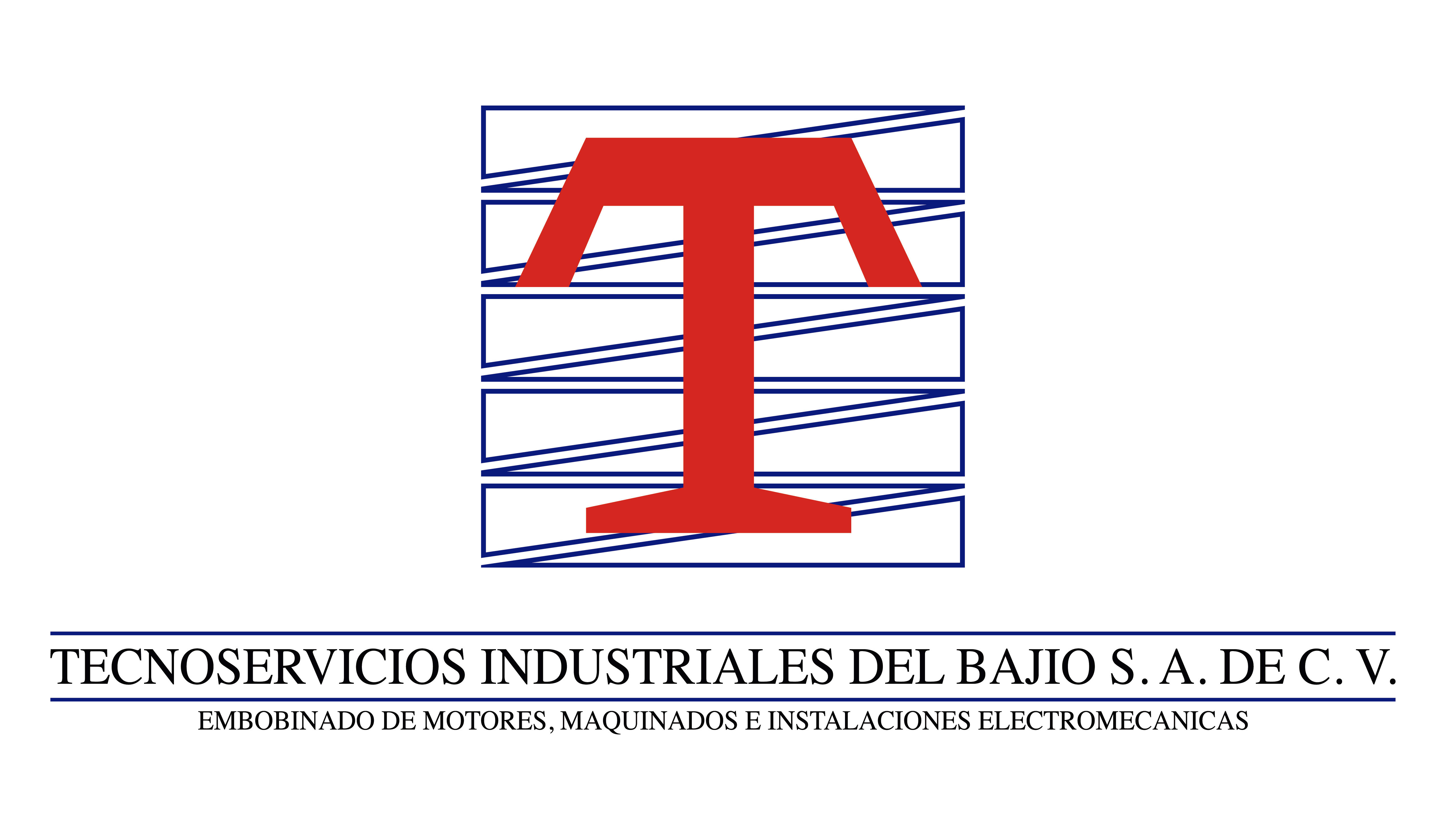 Tecno Servicios Industriales del Bajio SA de CV