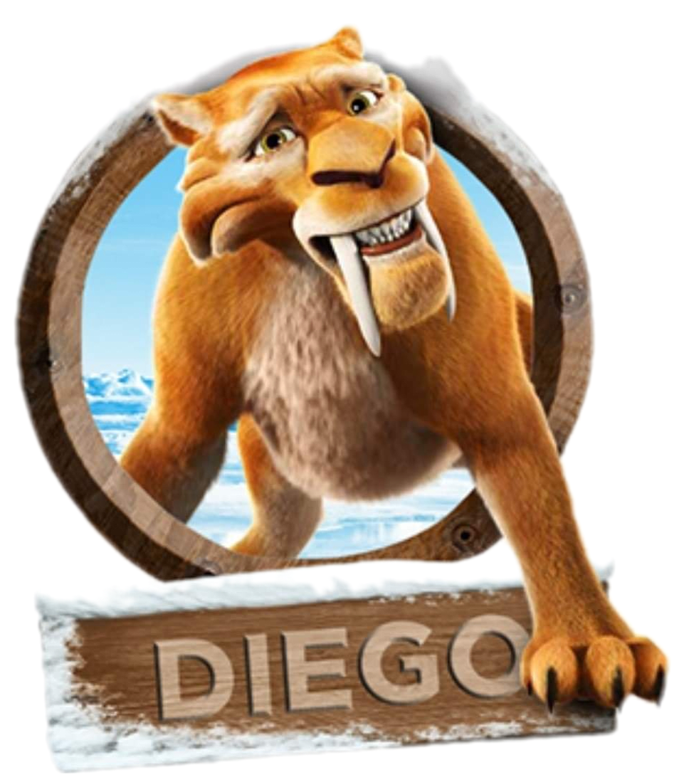 Diego Multibrand Store