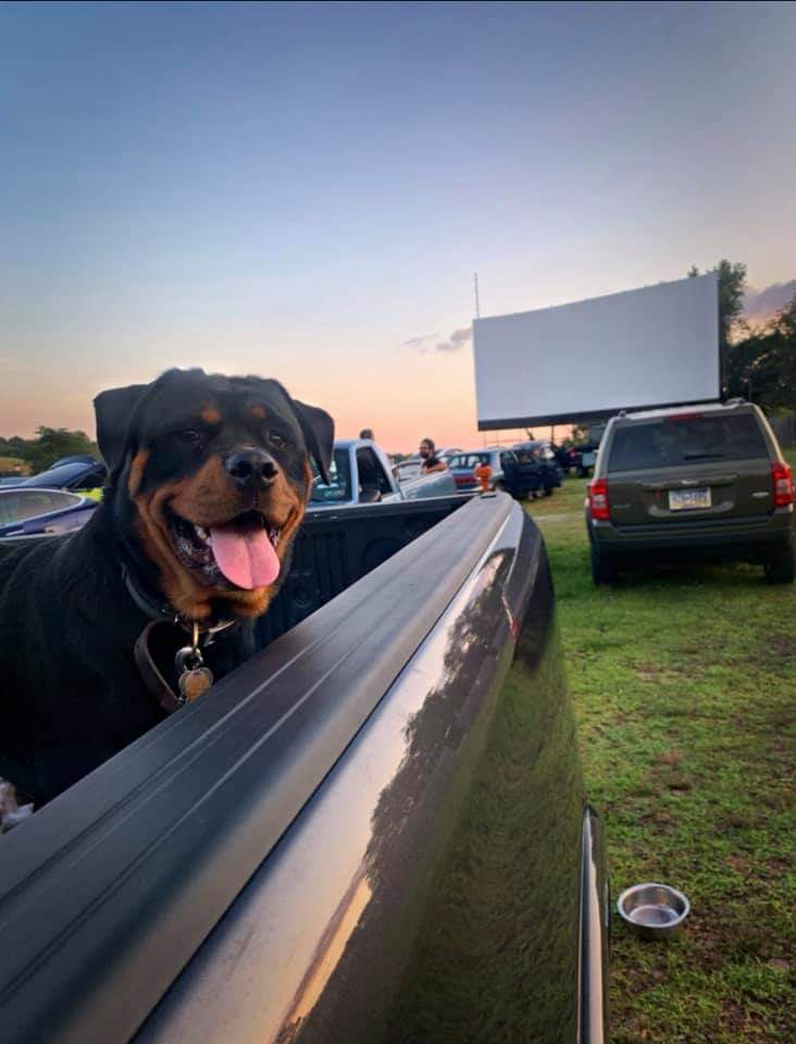 Cross St. Rottweilers