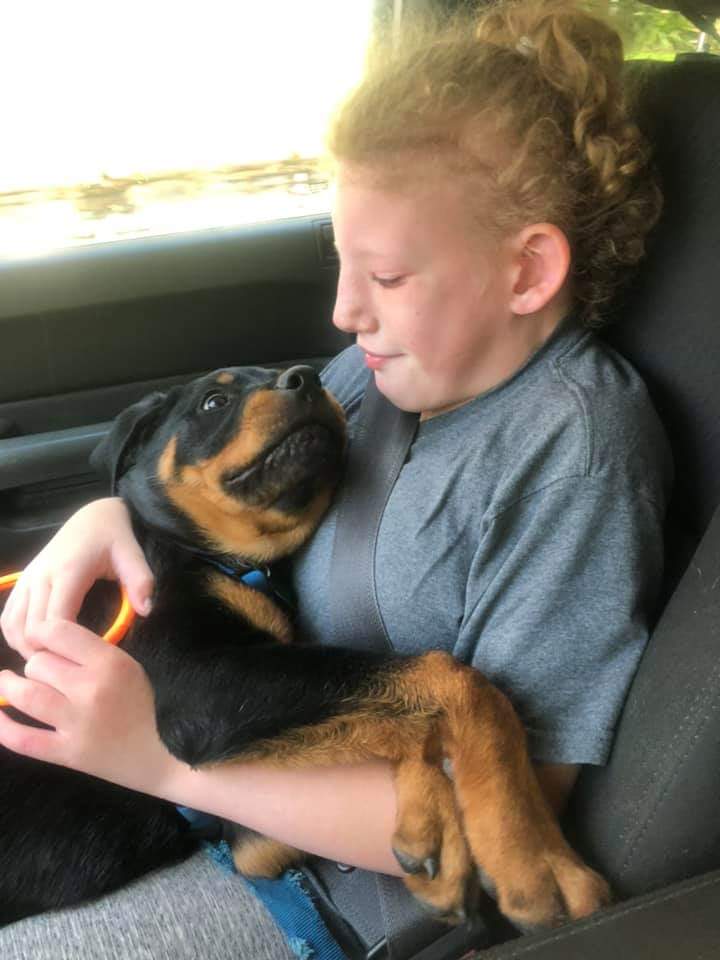 Cross St. Rottweilers