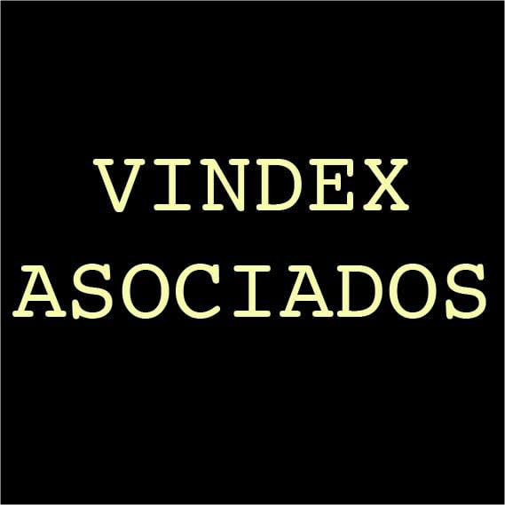 Vindex Asociados