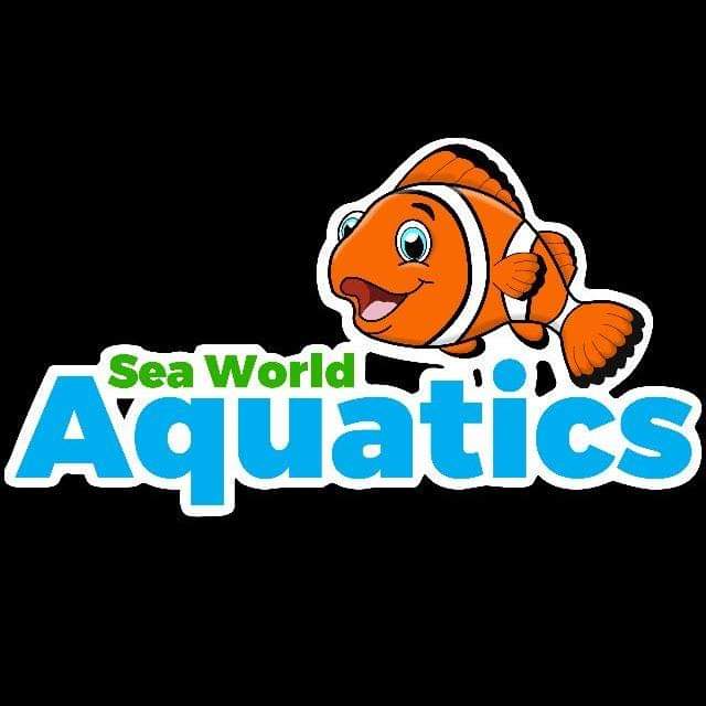 Seaworld Aquatics