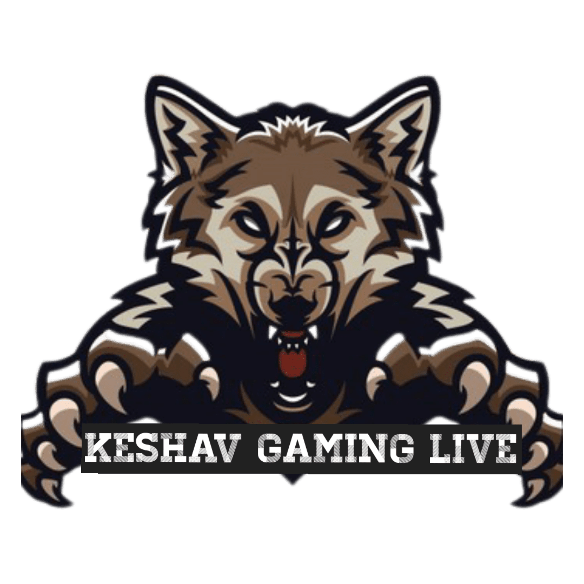 Keshav Gaming Live