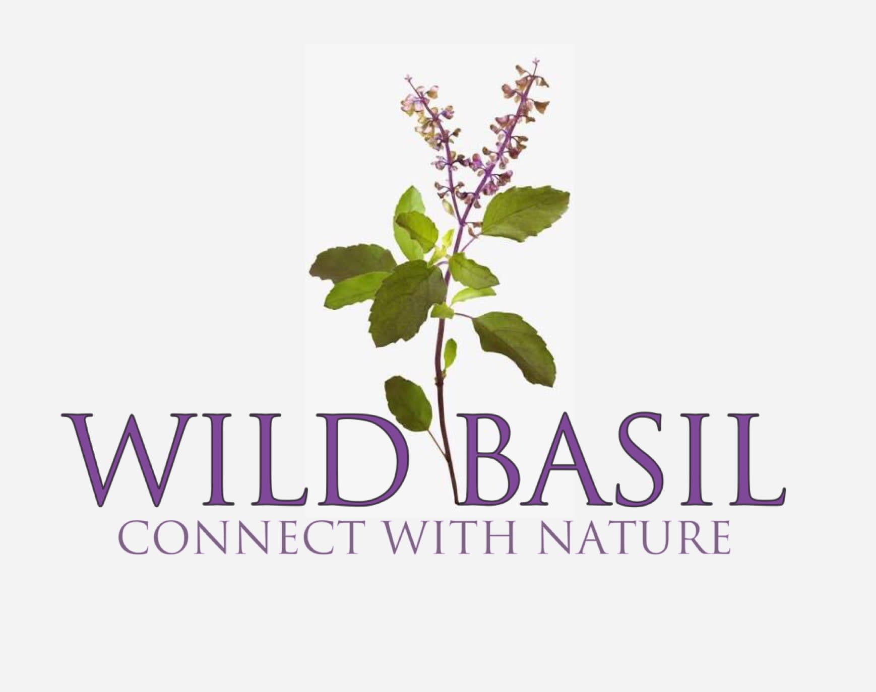 The Wild Basil