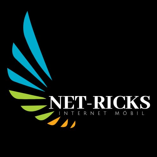 Internet Net-Ricks