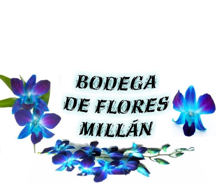 Bodega De Flores Millan
