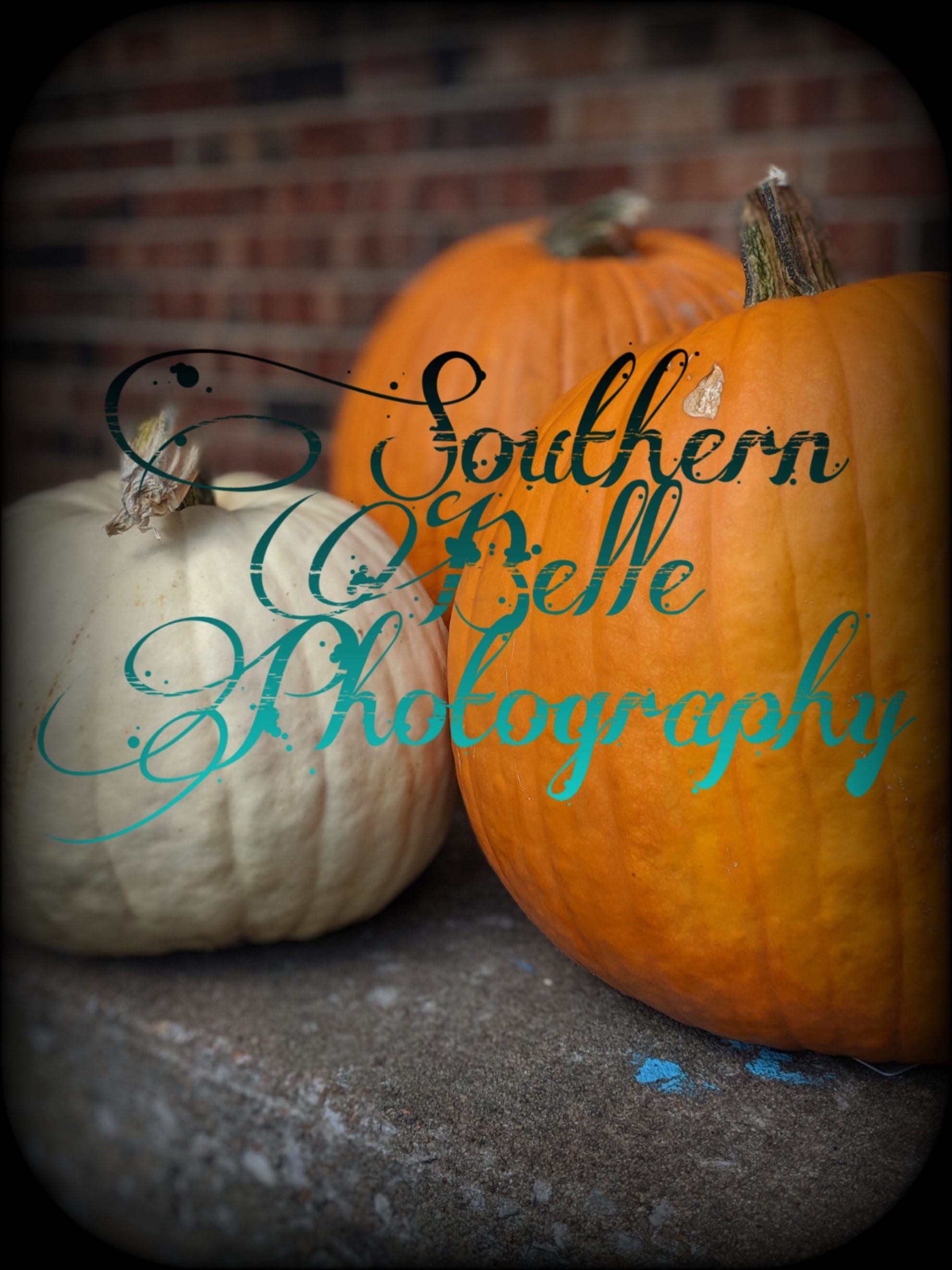 Southern Belle Photography Mo