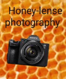 Honey-Lense Photography