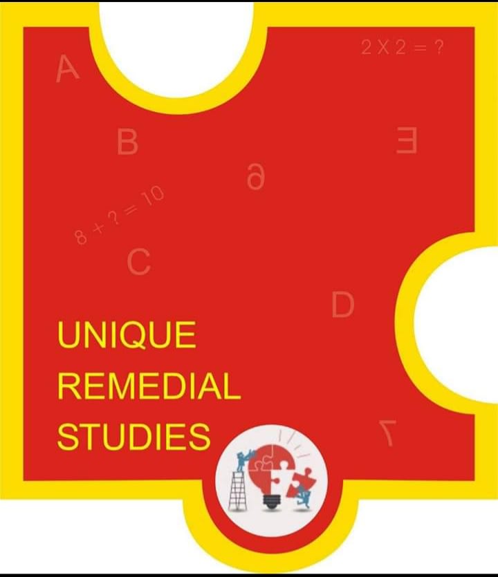 Unique Remedial Studies