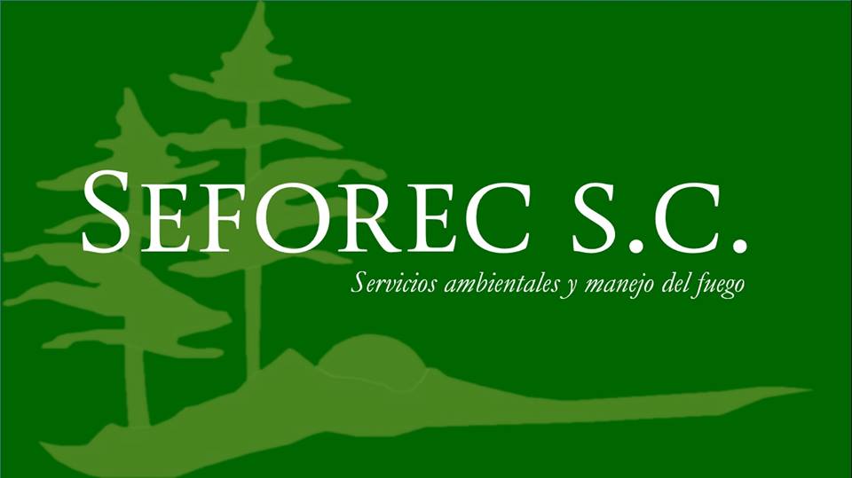 Sustentabilidad En Ecosistemas Forestales Y Contables S. C.