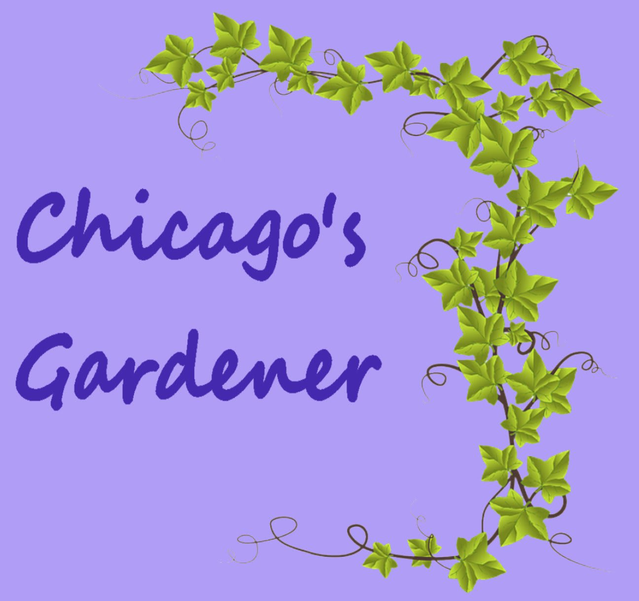 Chicago's Gardener