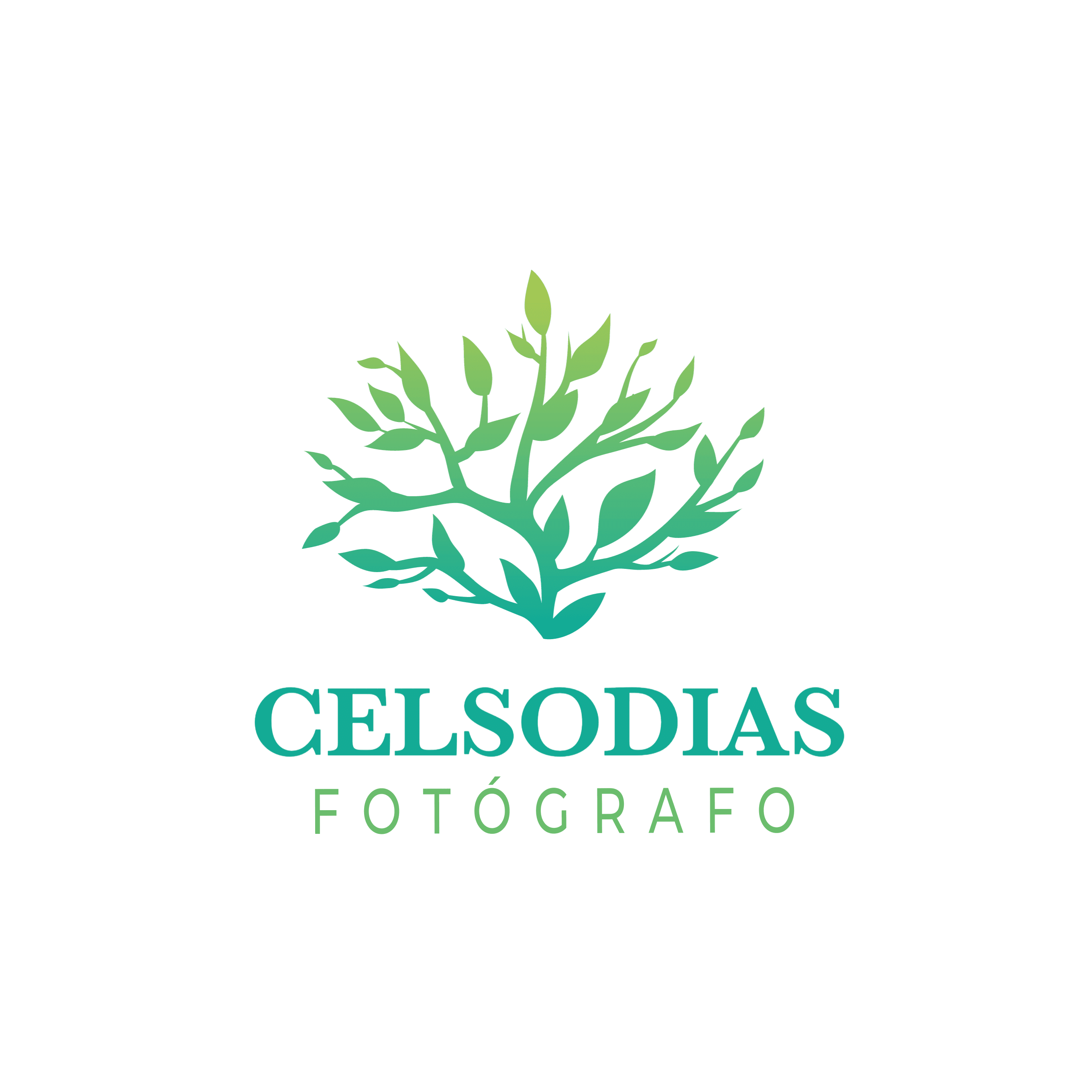 Celso Cascavel Fotografia