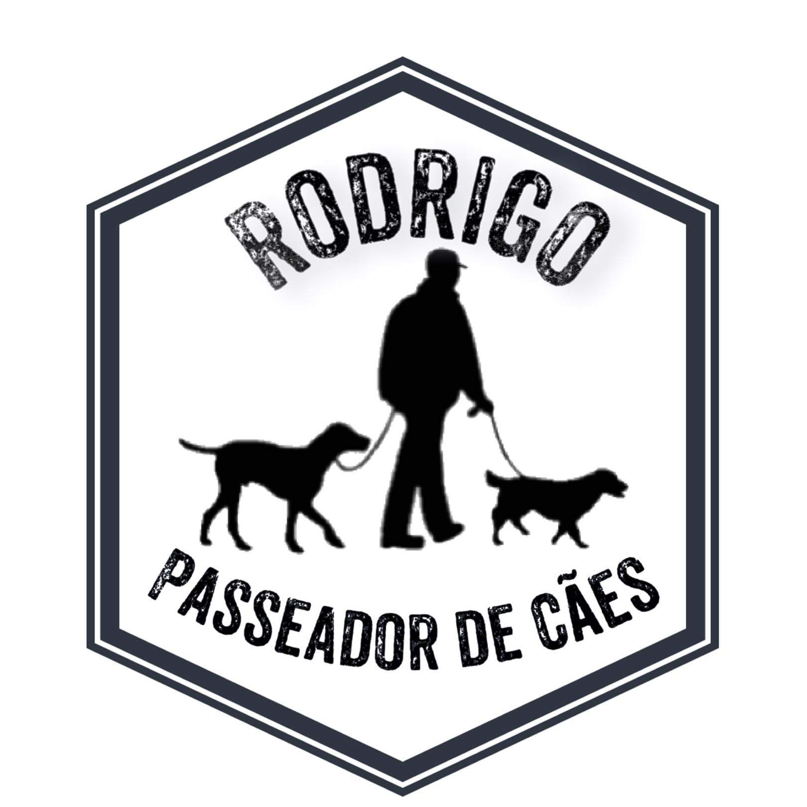 Rodrigo Passeador de Cães