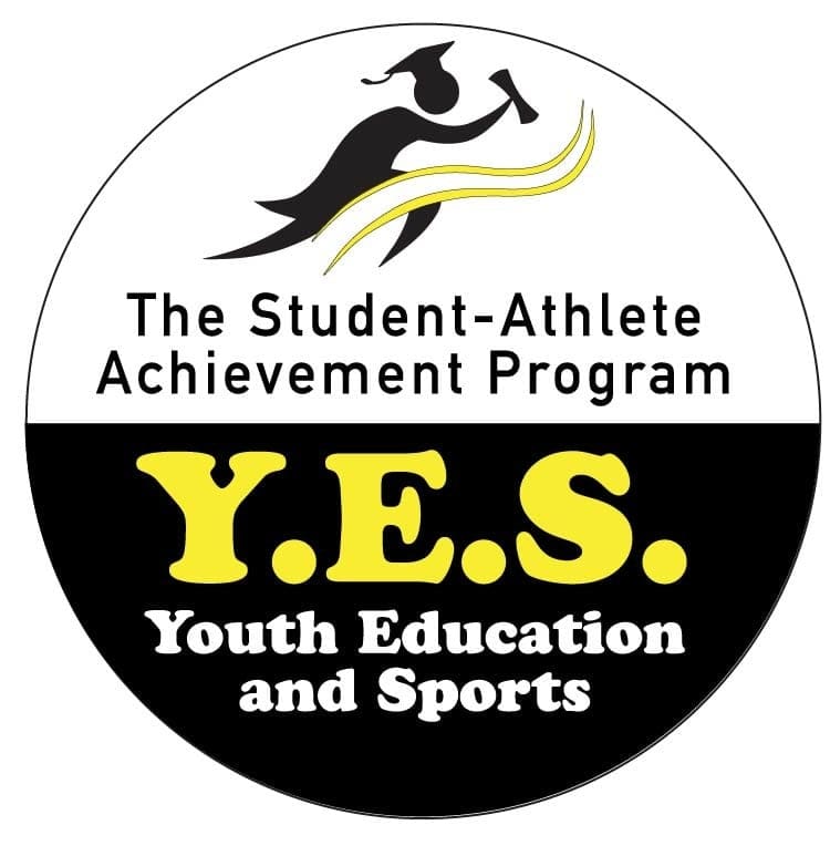 Youth Education and Sports Inc