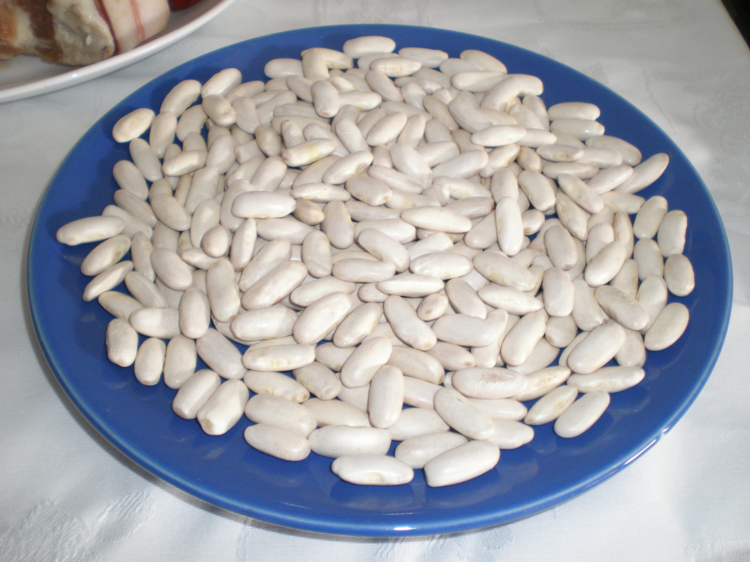 Elfresnus C.