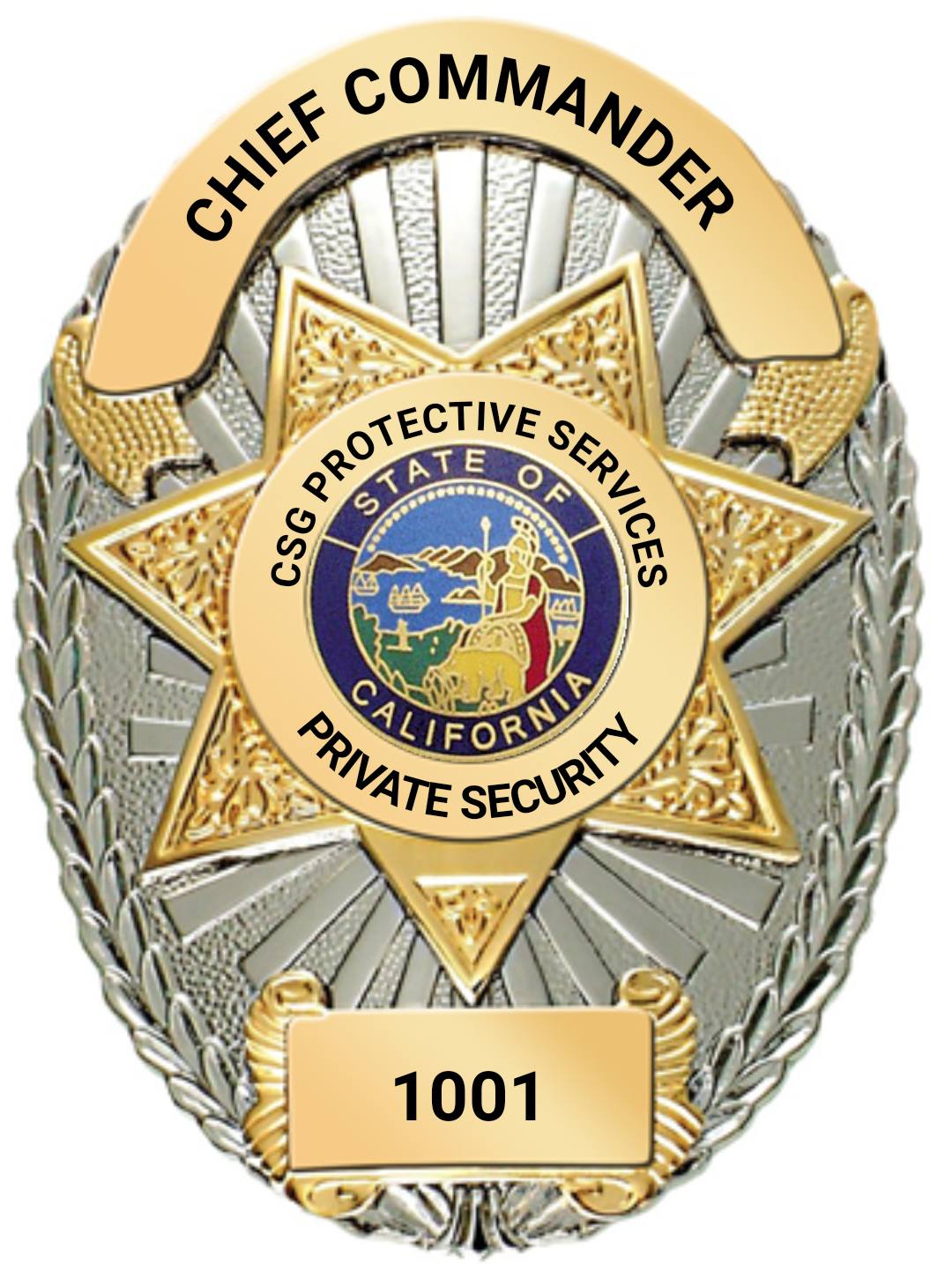 Csg Protective Services