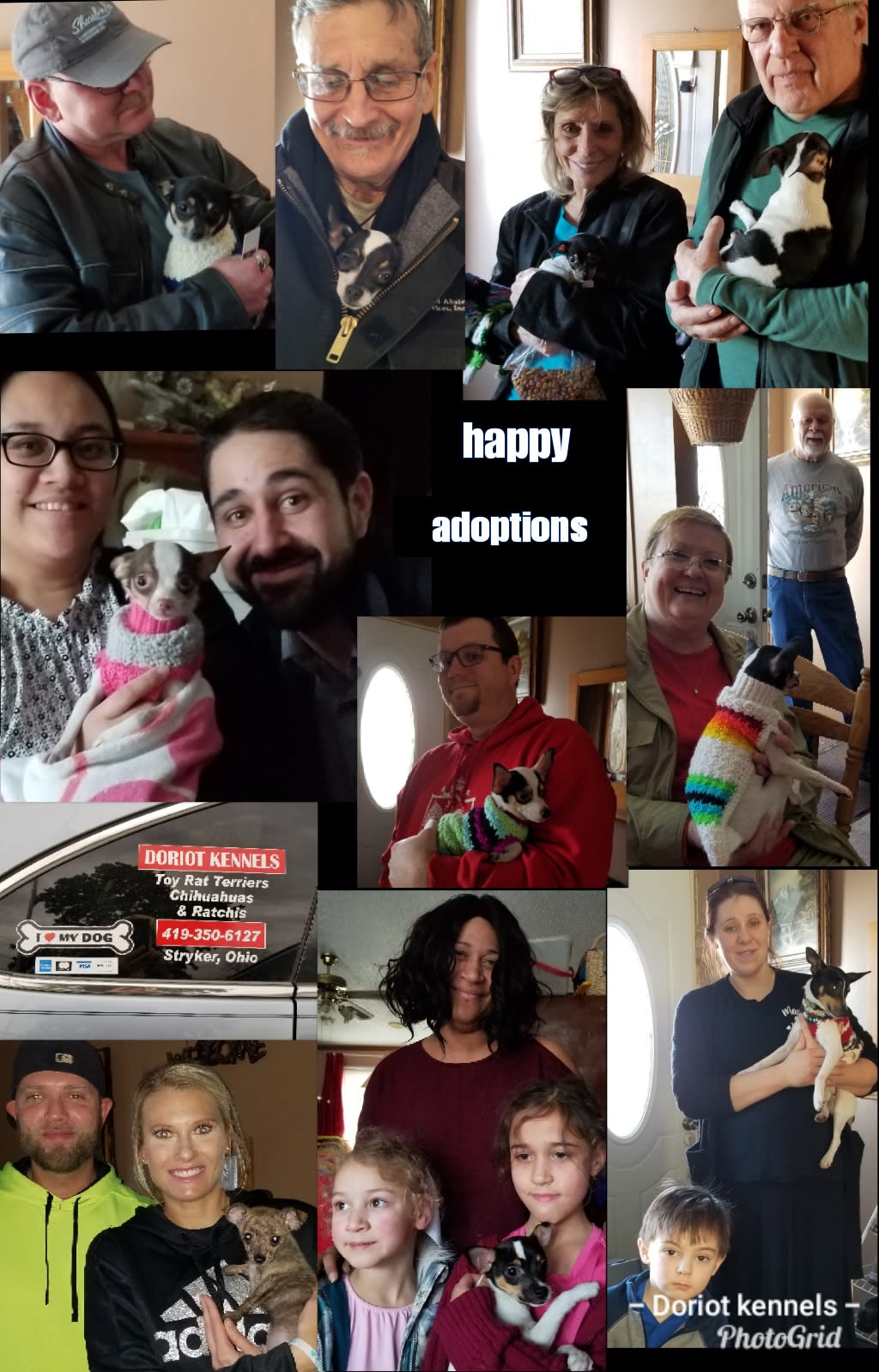 Small TLC Dog Breeders Our Pups Doriot Kennels Pet Breeder Stryker