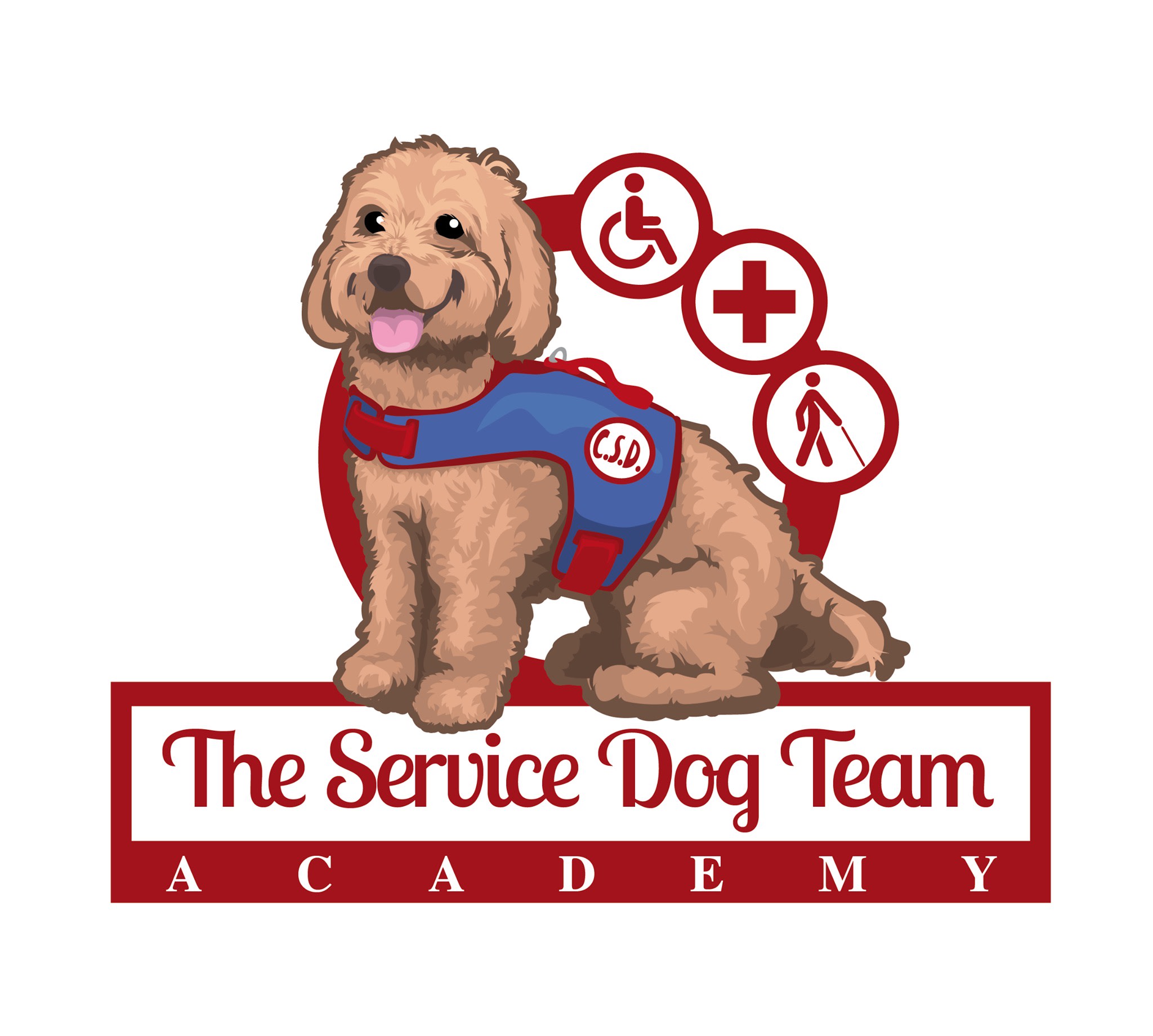 The Service Dog Team Academy