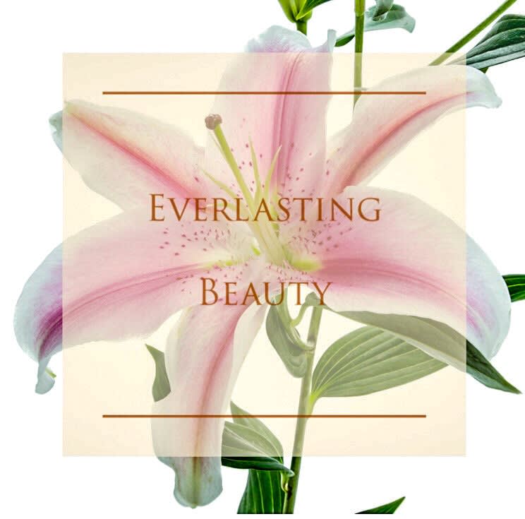 Everlasting Beauty