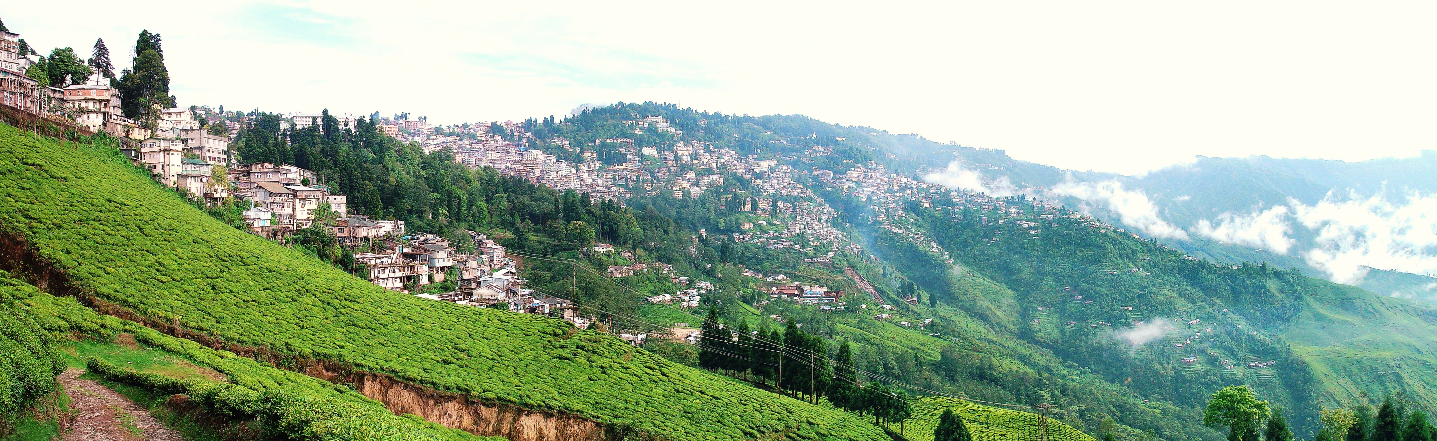 tour and travel agency in darjeeling