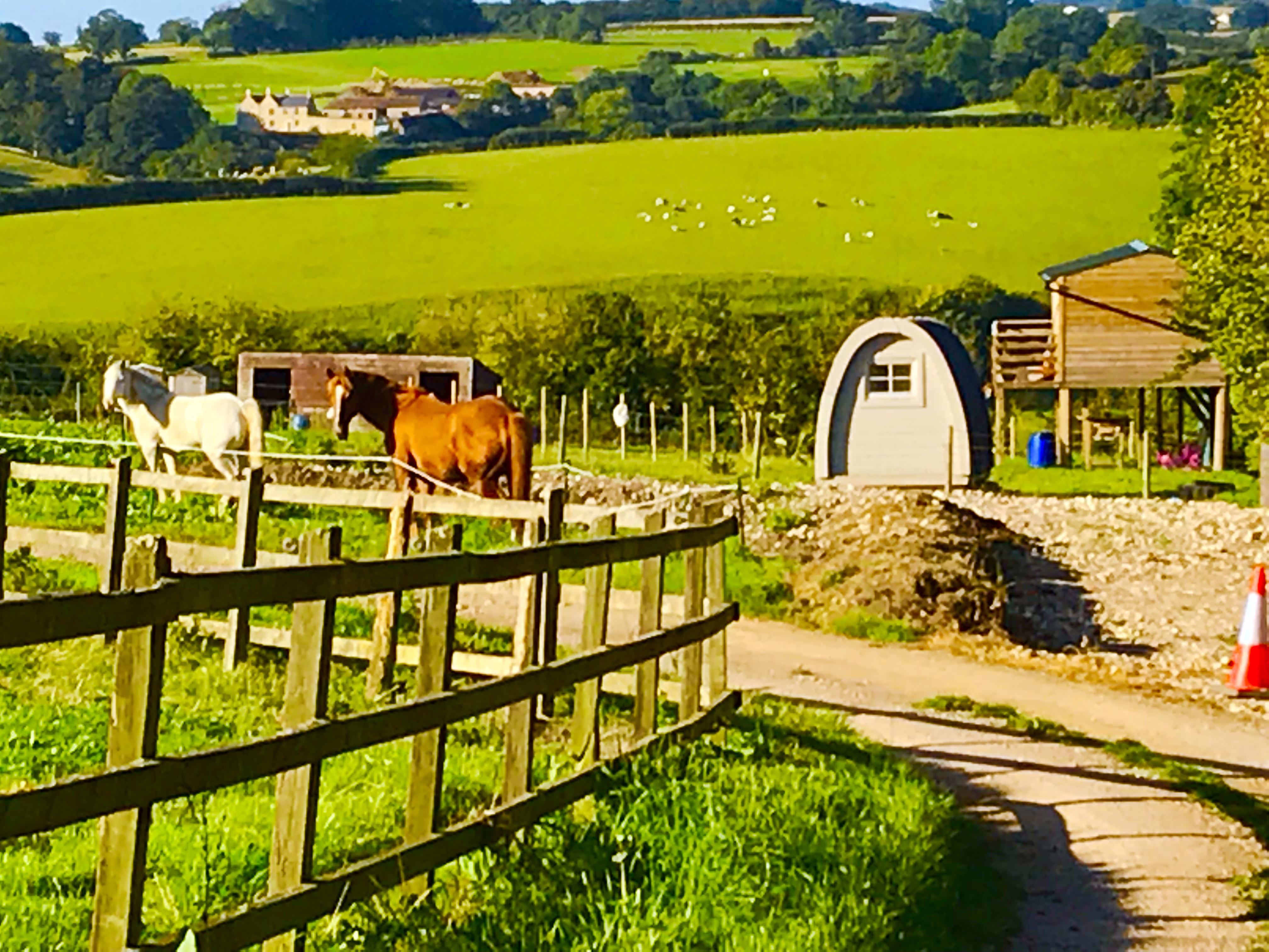 Norwell View Farm Glamping Camping Bath