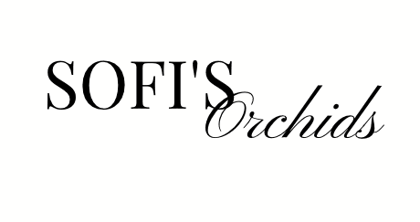 Sofis Orchids