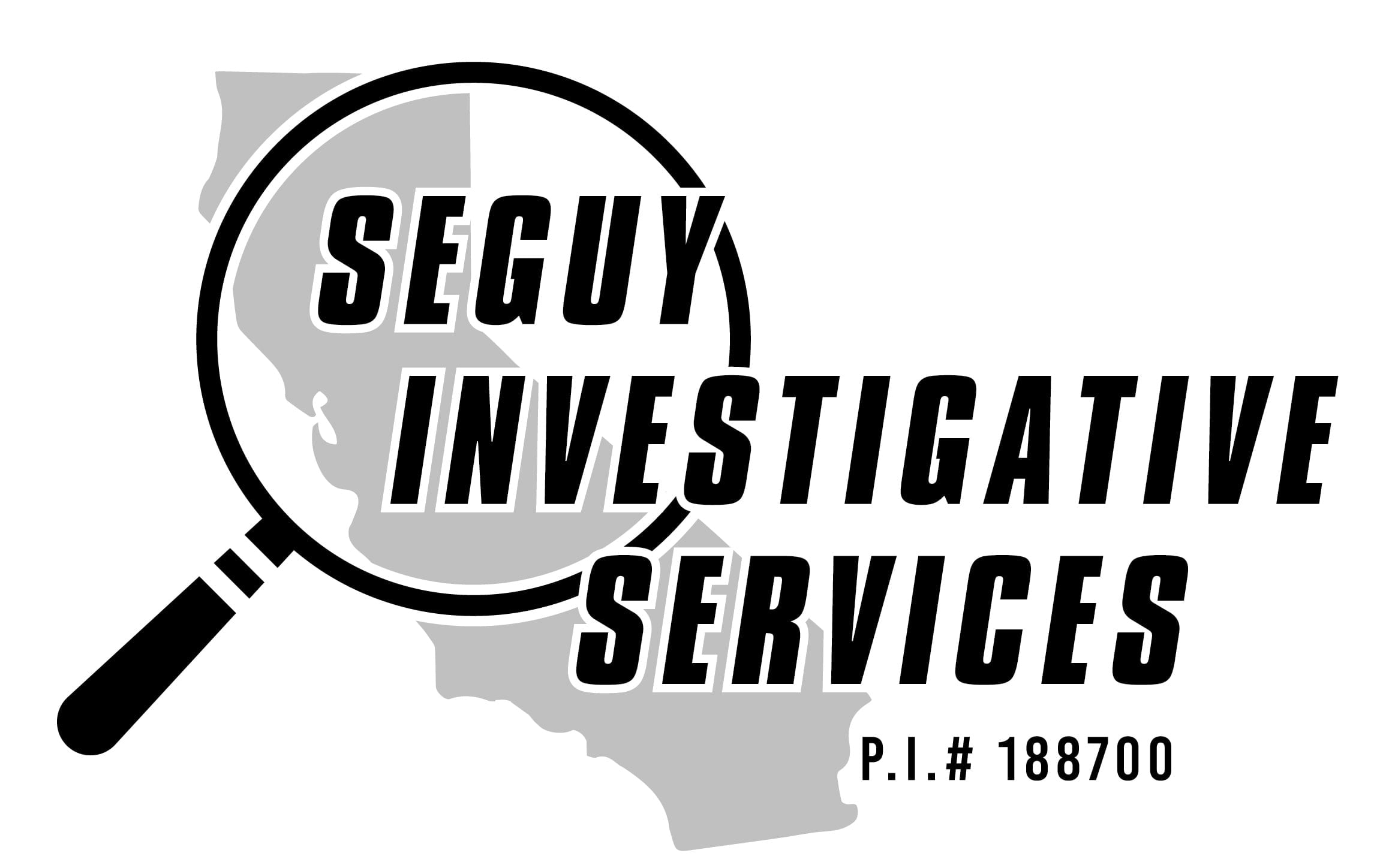 Seguy Investigative Services