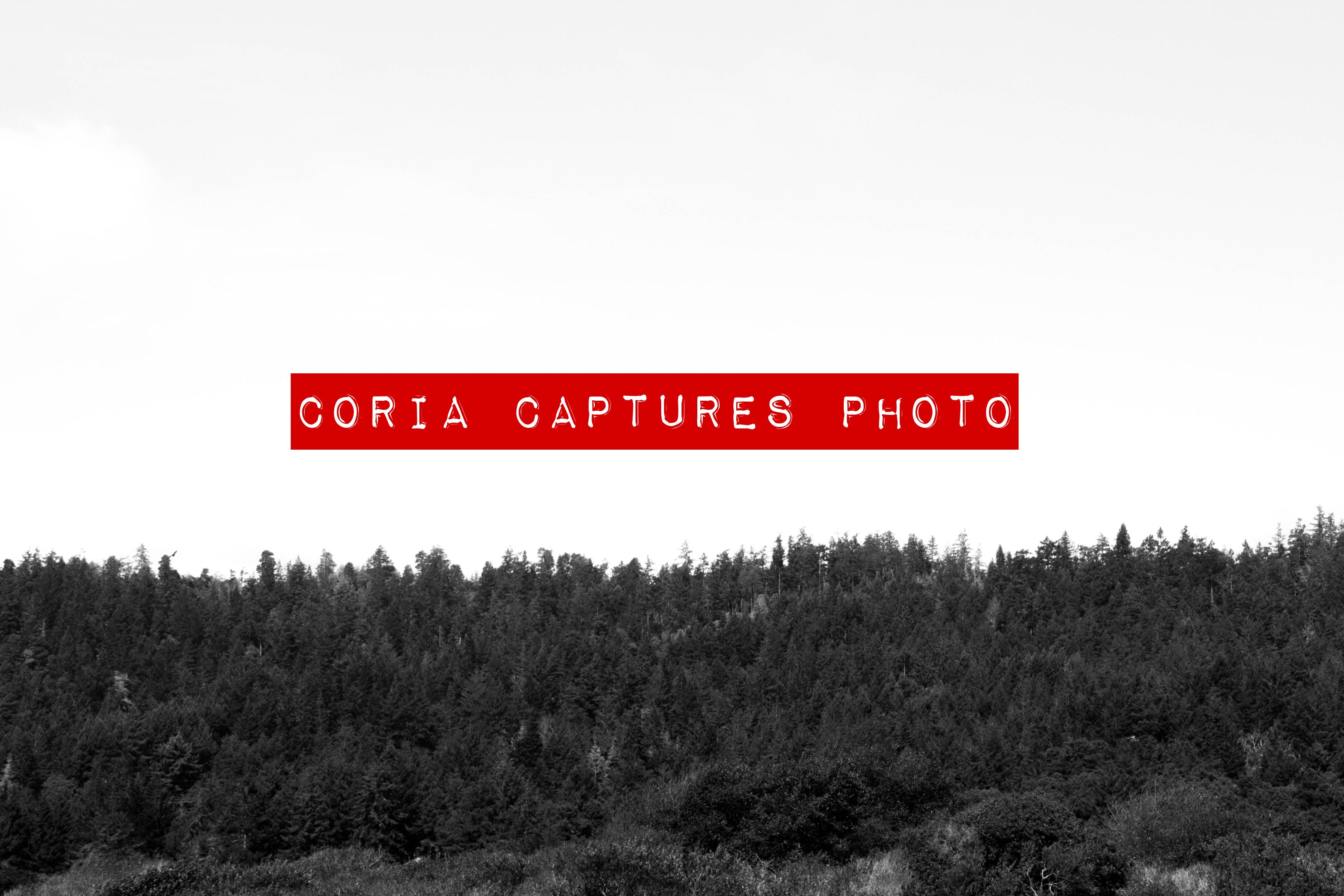 Coria Captures Photo