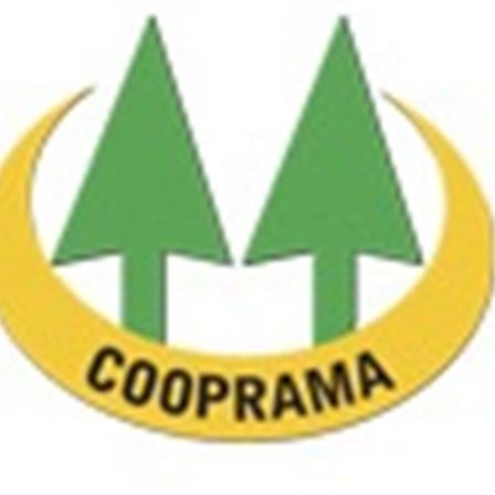Cooperativa de Profissionais Autônomos do Estado do Maranhão