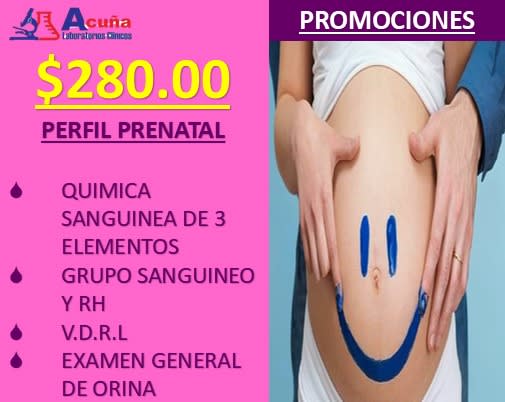 Quimica discount sanguinea embarazo