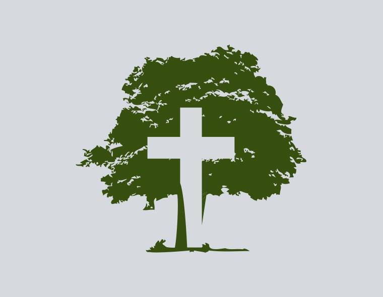 Savior Tree Service