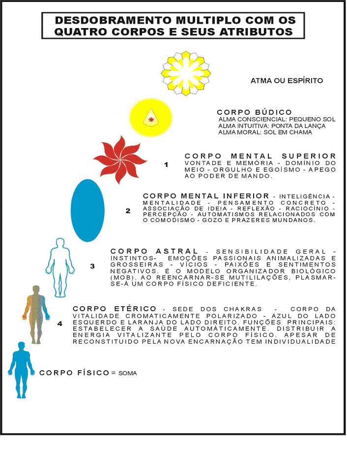 Apometria - Serviços holísticos e terapêuticos: - Consciência OM