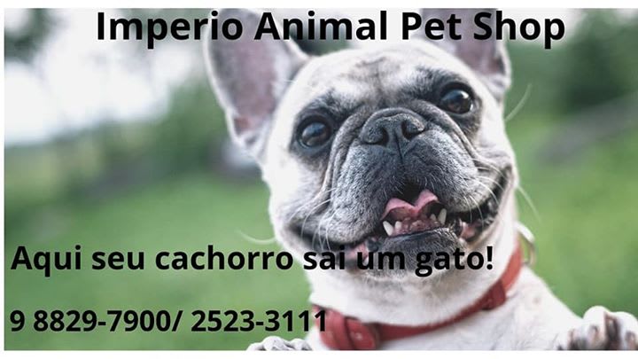 Empire Pet em Belo Horizonte-MG - Pet Shop Perto de Mim