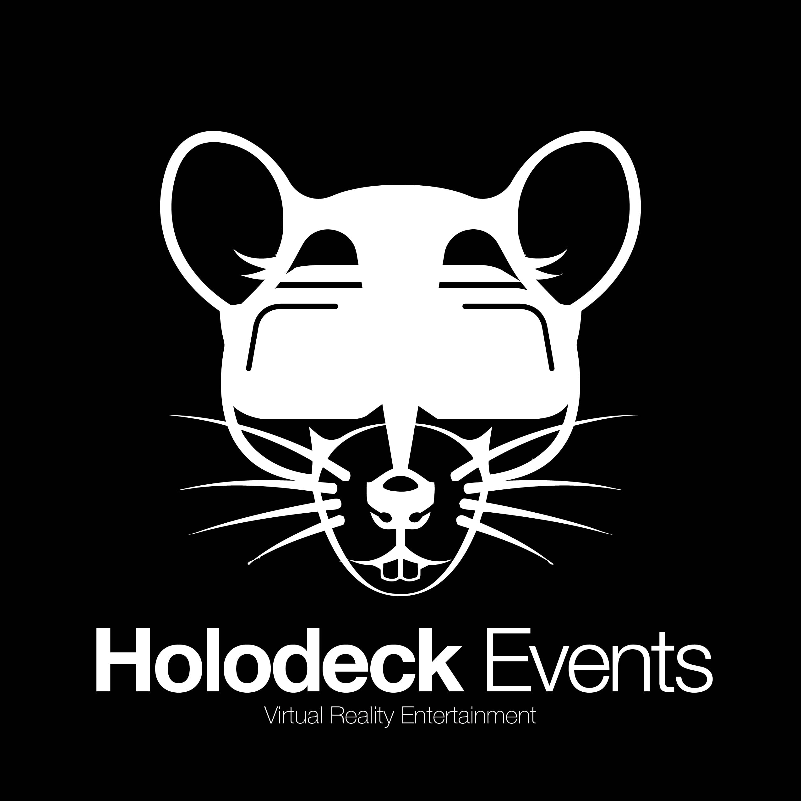 Holodeck VR