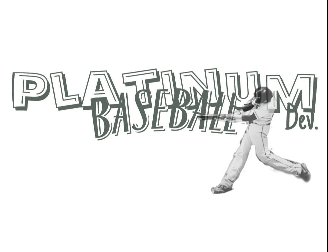 Platinum Baseball Development