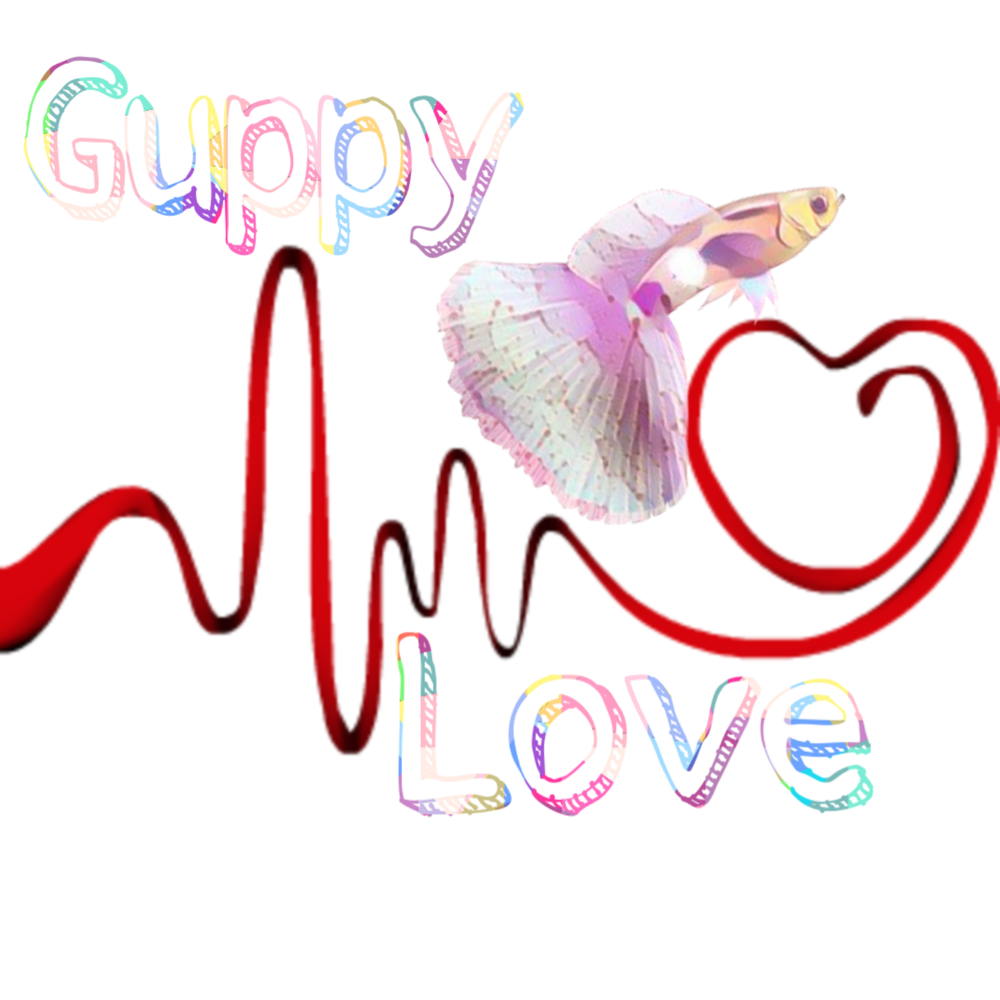 Guppy Love Mexico