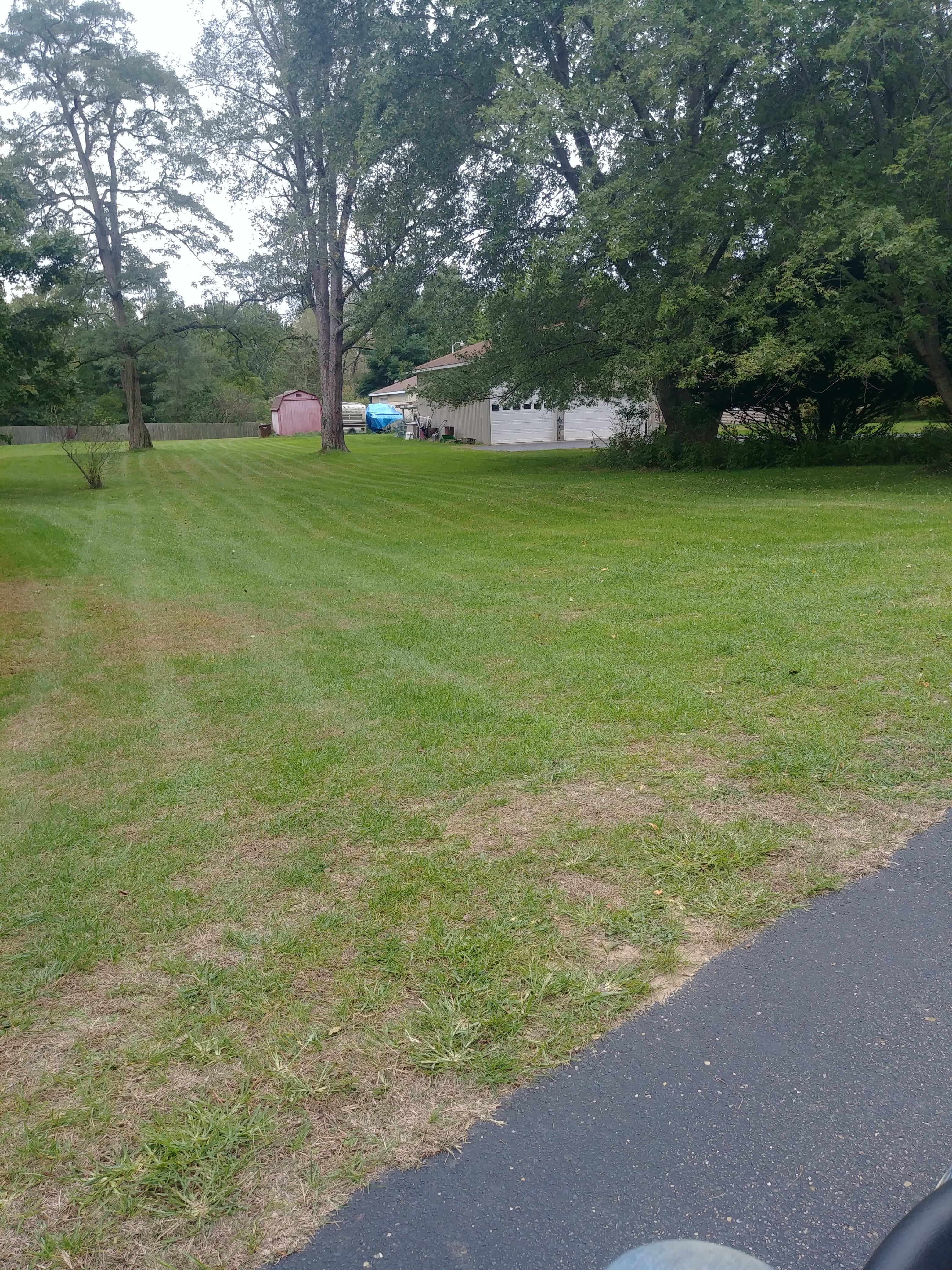 Brad's Lawncare & Yard Maintenance Gardener Harbert