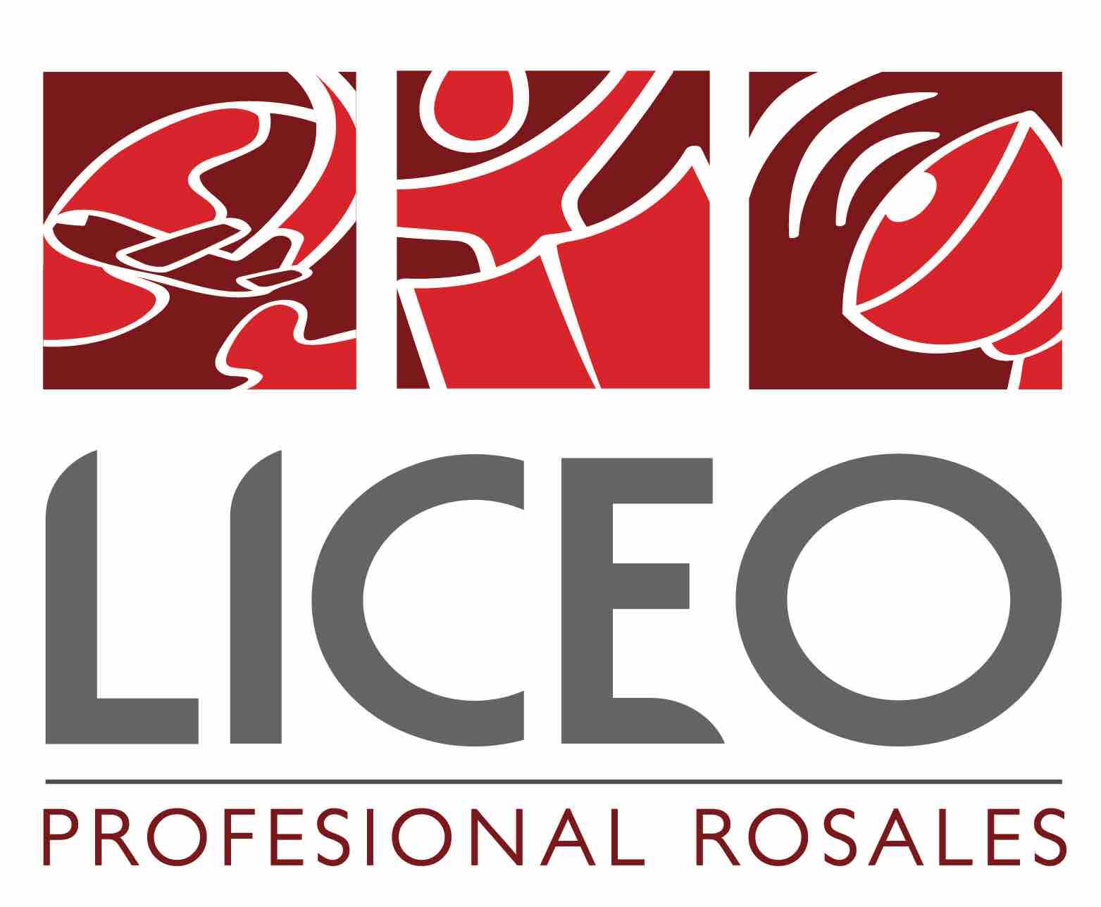 Liceo Profesional Rosales