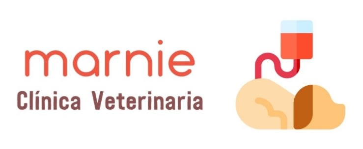 Marnie Clínica Veterinaria