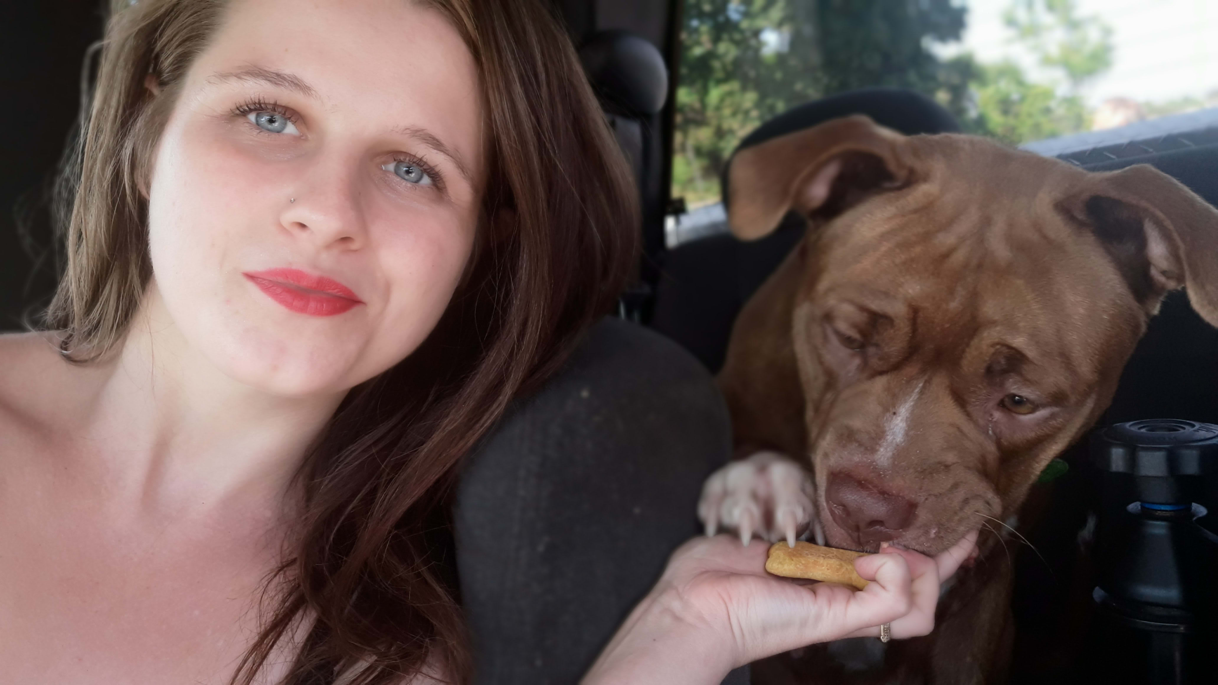 Happy Paws N Clawz Pet Grooming DoverFoxcroft