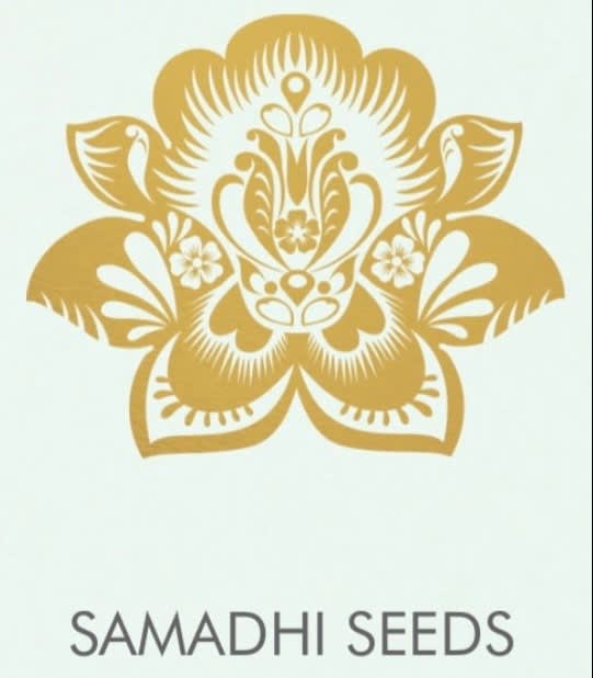Samadhi Seeds