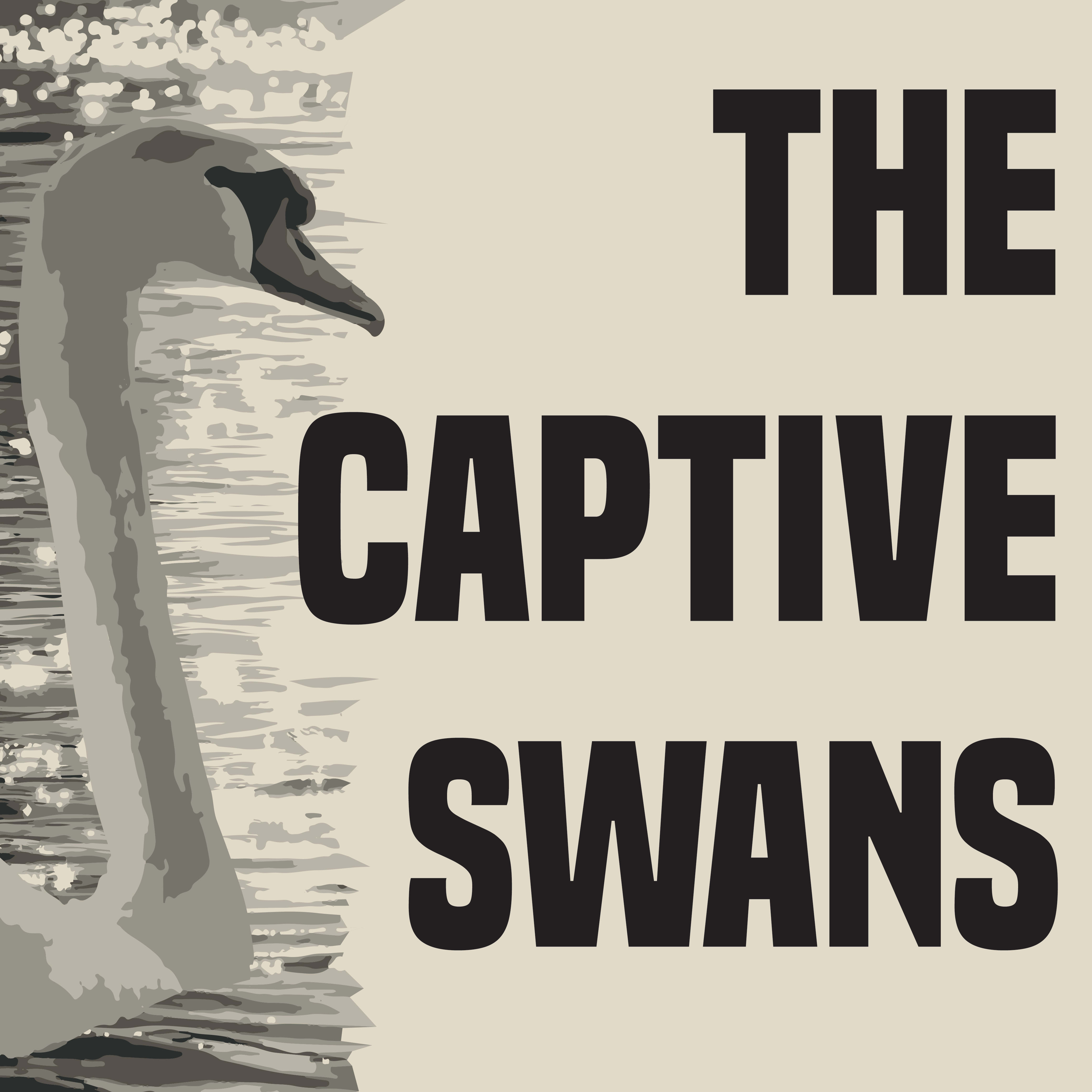 The Captive Swans