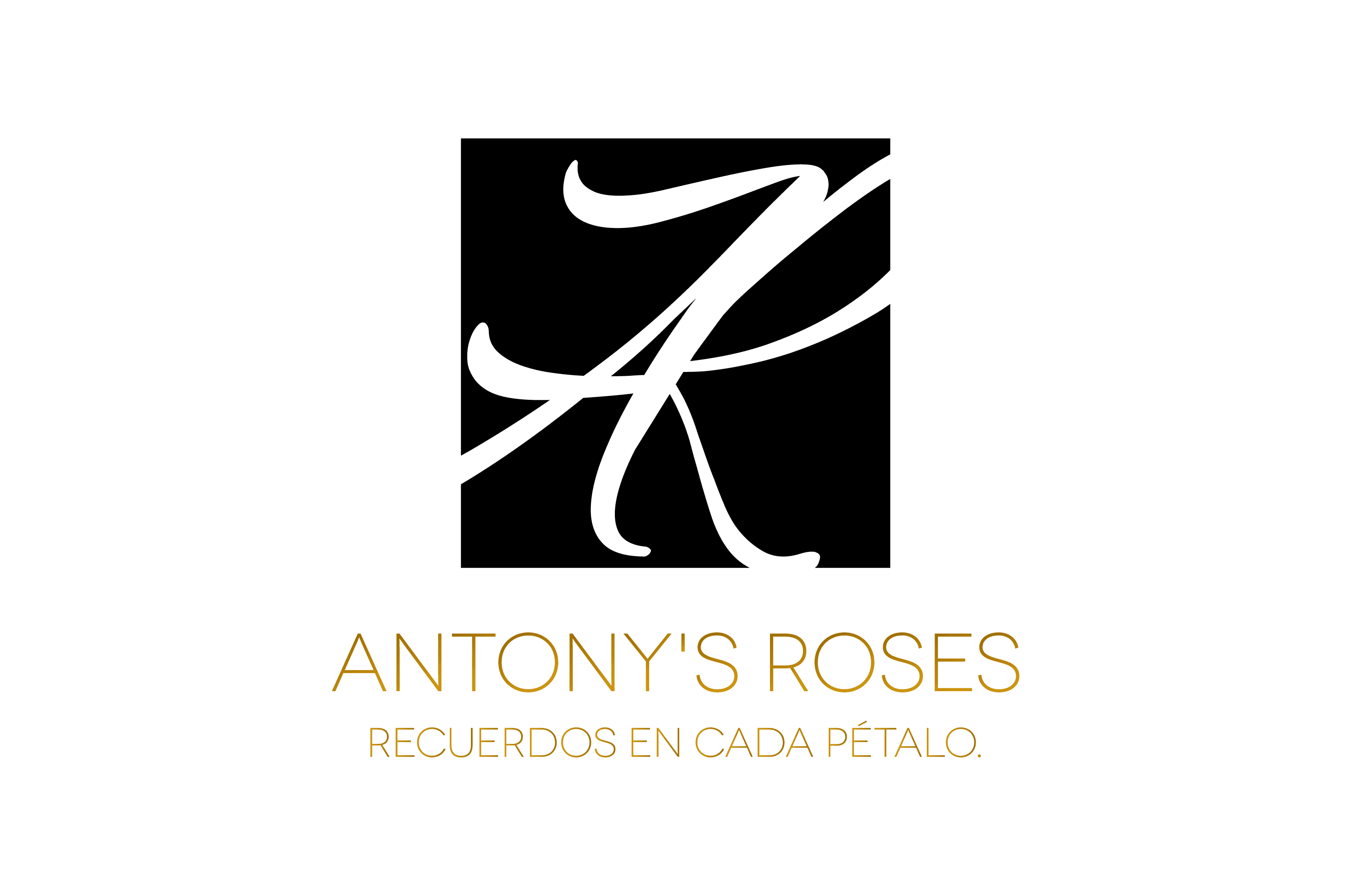Antony’s Roses