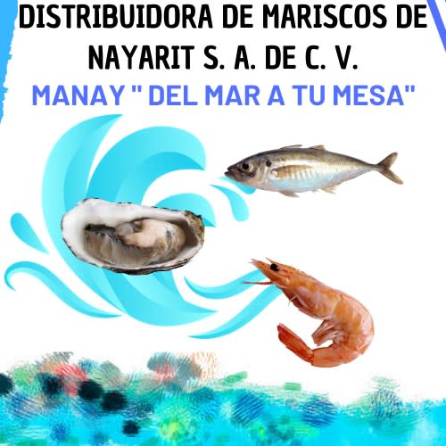 Manay S. A. De C. V.