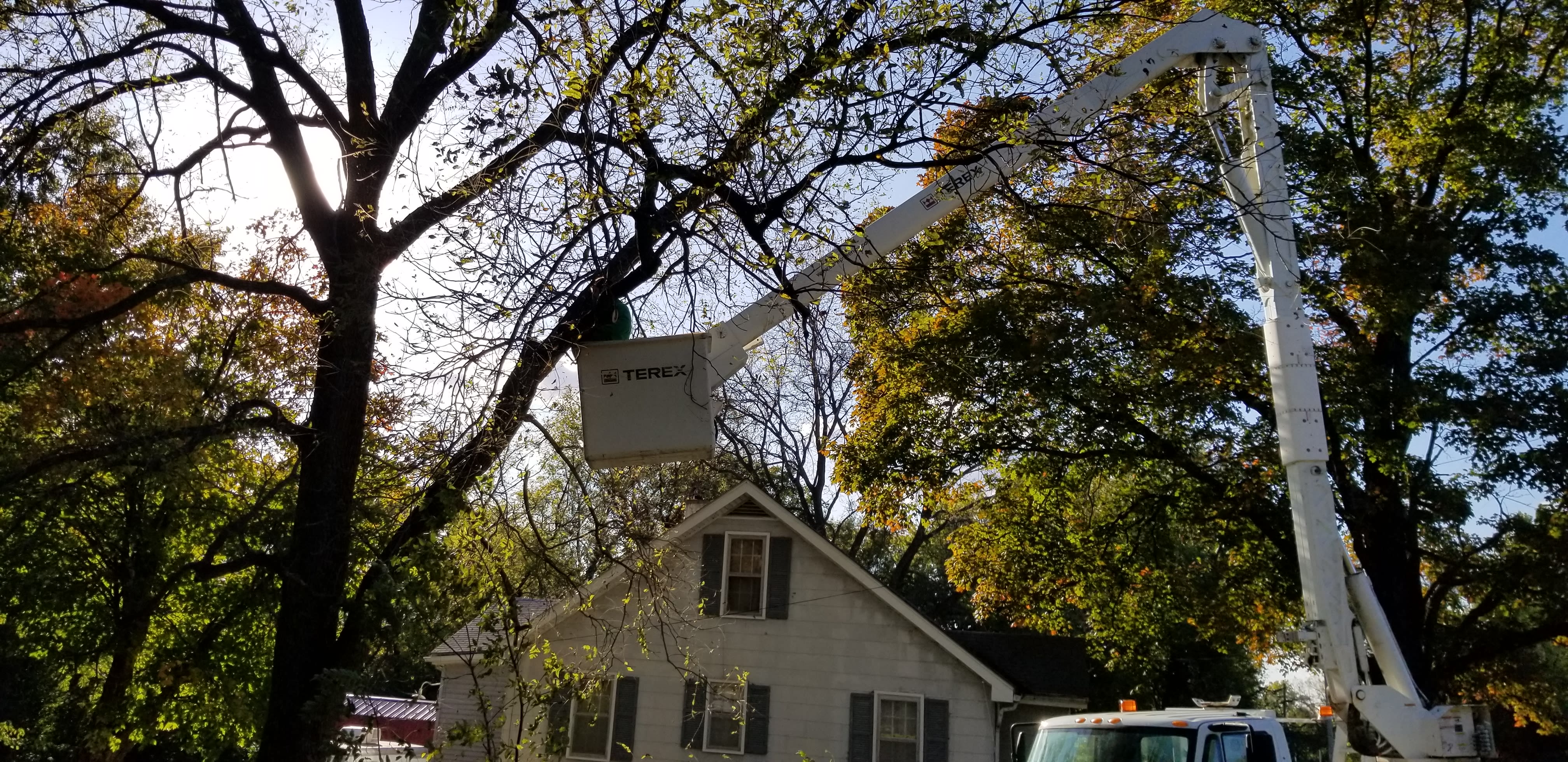Peters Tree Service Tree Service Saint Joseph