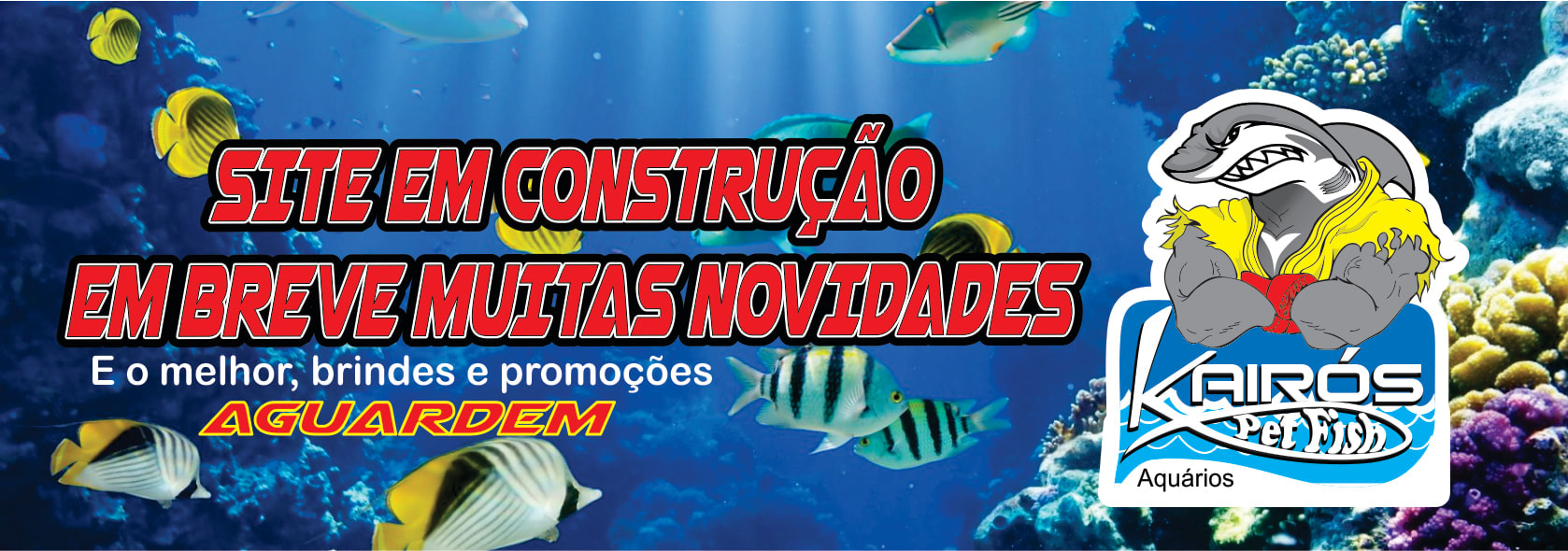 Kairós Pet Fish Pet Shop Gramado