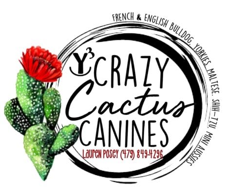 Crazy Cactus Canines