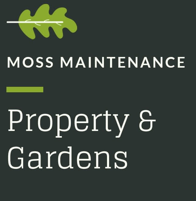 Moss Maintenance - Property & Gardens