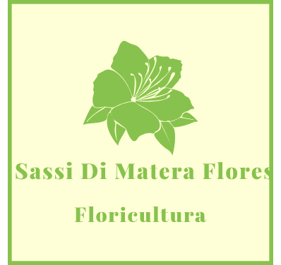 Floricultura Sassi Di Matera Flores